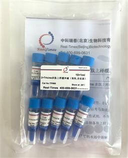 2×Tricine多肽上樣緩沖液（變性，非還原）