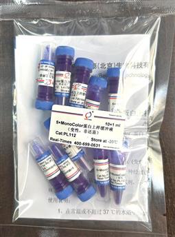 5×MonoColor 蛋白上樣緩沖液 (變性，非還原)